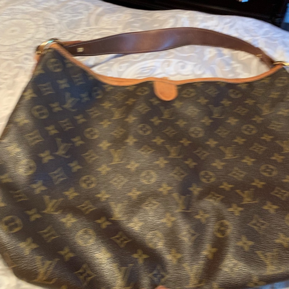 Louis Vuitton delightful MM